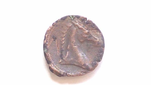 Tanit-&-Horse-Coin